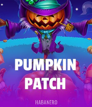 Pumpkin patch